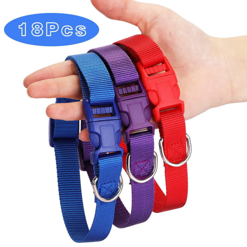 Sanwuta collar color varieties supports matching outfits and stress-free rotation for daily wear.