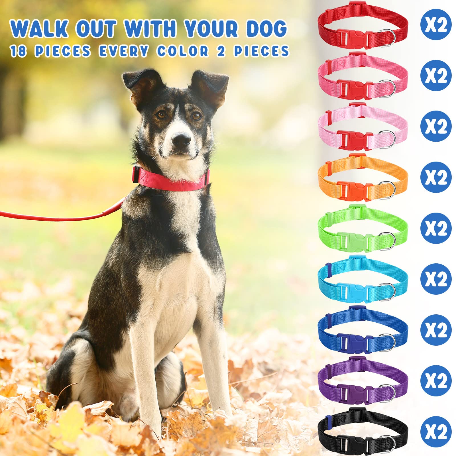 Sanwuta dog walking outdoor use demonstrates reliable quick release for safe strolls.