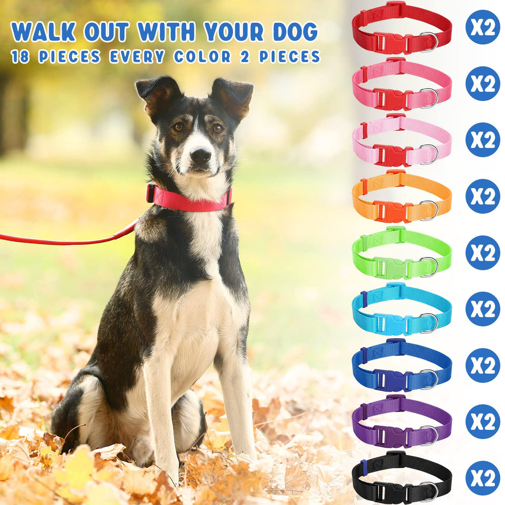 Sanwuta dog walking outdoor use demonstrates reliable quick release for safe strolls.