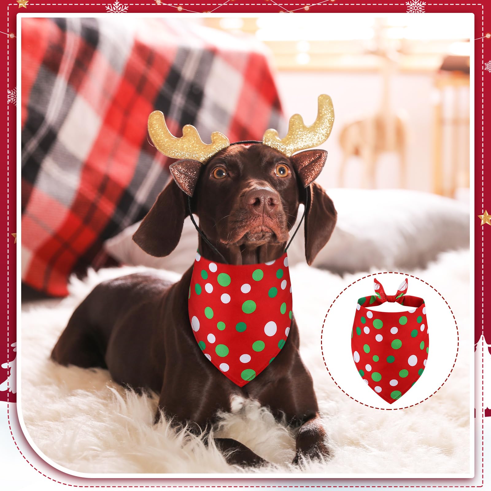 Sanwuta holiday-dress-up ensemble—eye-catching patterns that spark wagging tails.