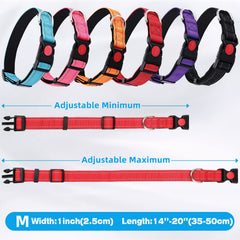 Sanwuta night reflective belt on a leash enhances visibility when illuminated at night.