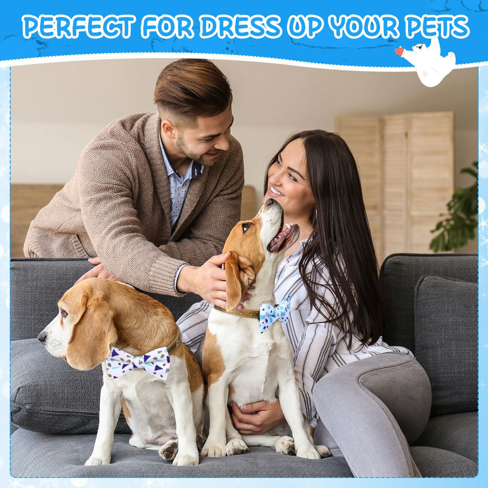 Sanwuta winter dog bow party-ready design for festive occasions.