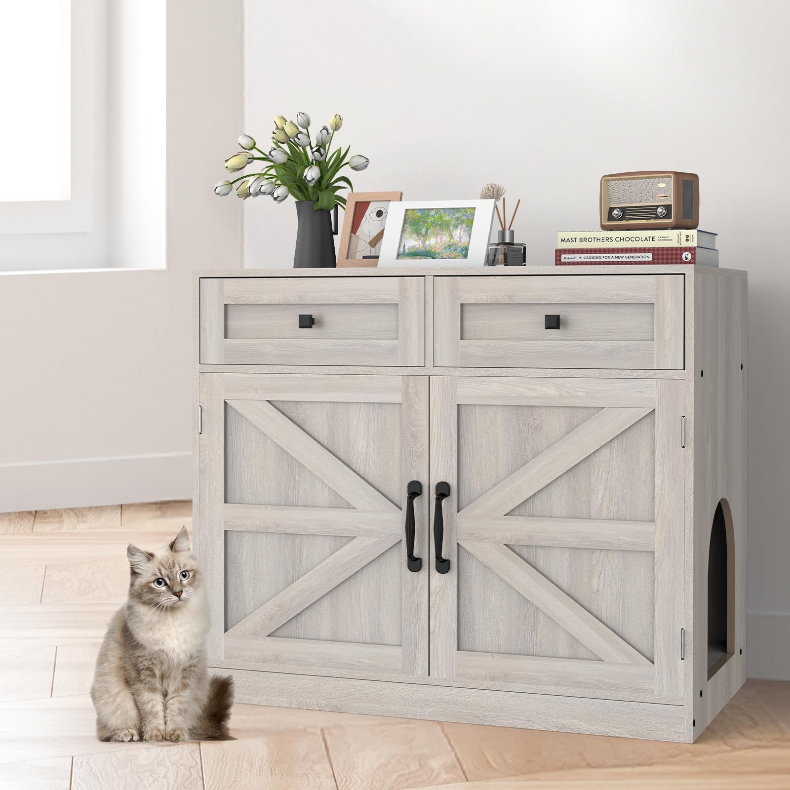 SANXUO decorative placement shows furniture-friendly fit for living spaces.