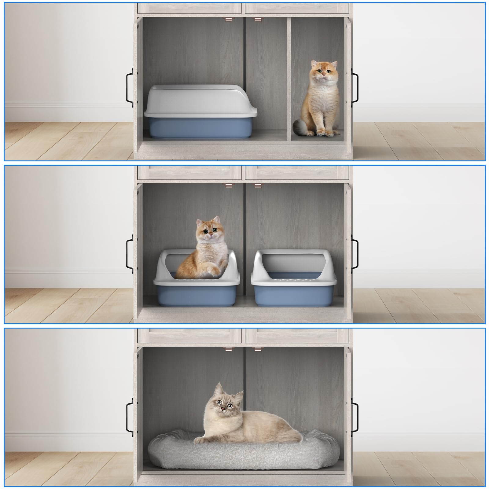 SANXUO private-entry view emphasizes privacy for cats.