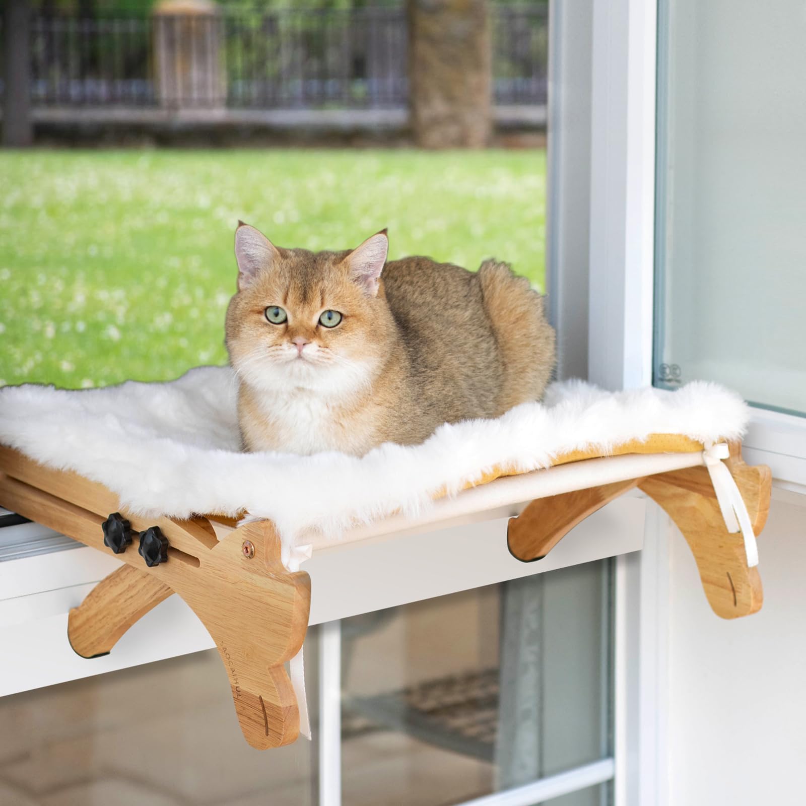 SAOCAIHUL cat window perch-wood-frame on a sunny sill, offering a comfy vantage point.
