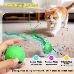 Saolife cat ball chirping bird sound stimulates curiosity during play