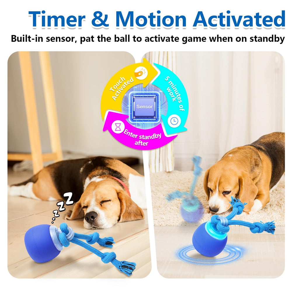 Saolife interactive dog ball chasing-action captures playful pursuit and mental stimulation.