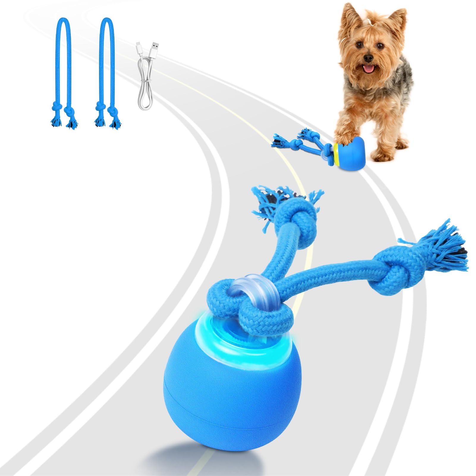 Saolife interactive dog ball on floor showing chase-ready motion for curious puppies