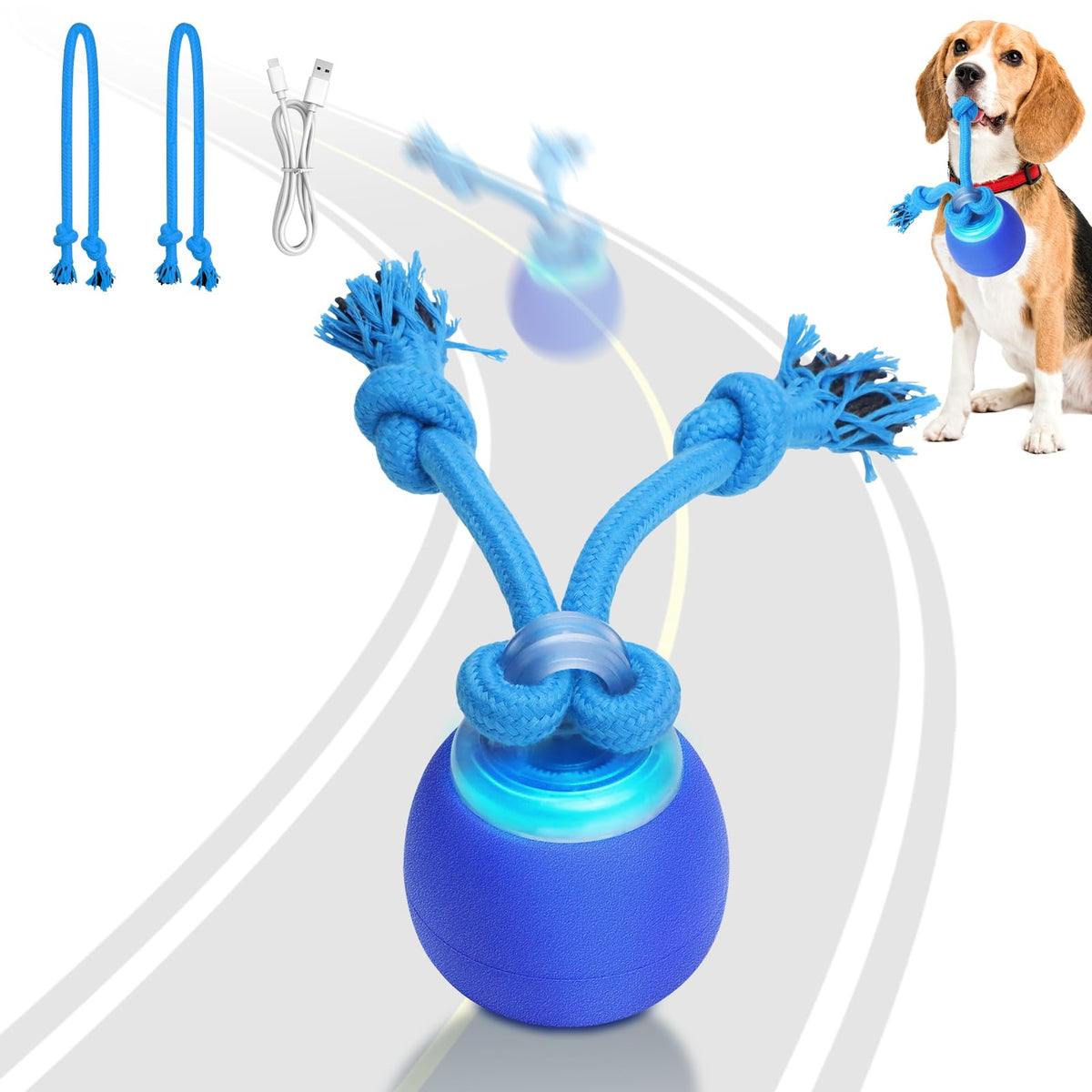 Saolife interactive dog ball motion-activated demonstrates hands-free exercise for puppies.