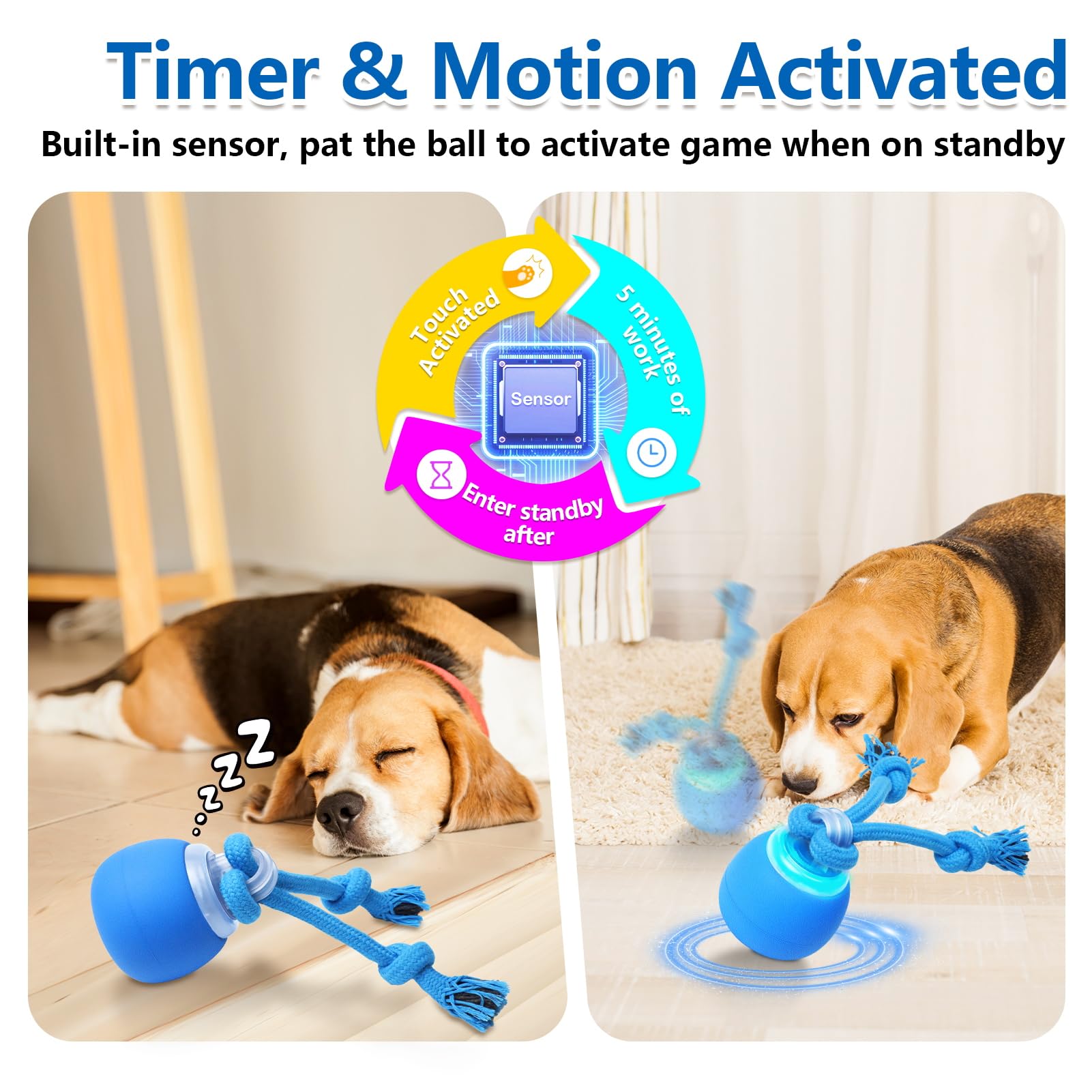 Saolife moving dog ball in action demonstrates engaging motion for active play