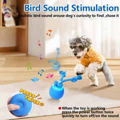 Saolife USB-rechargeable dog toy charging setup for convenient uninterrupted play sessions