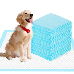 SAP FRIENDLY 6-layer protection pad demonstrates leak-proof design for floors