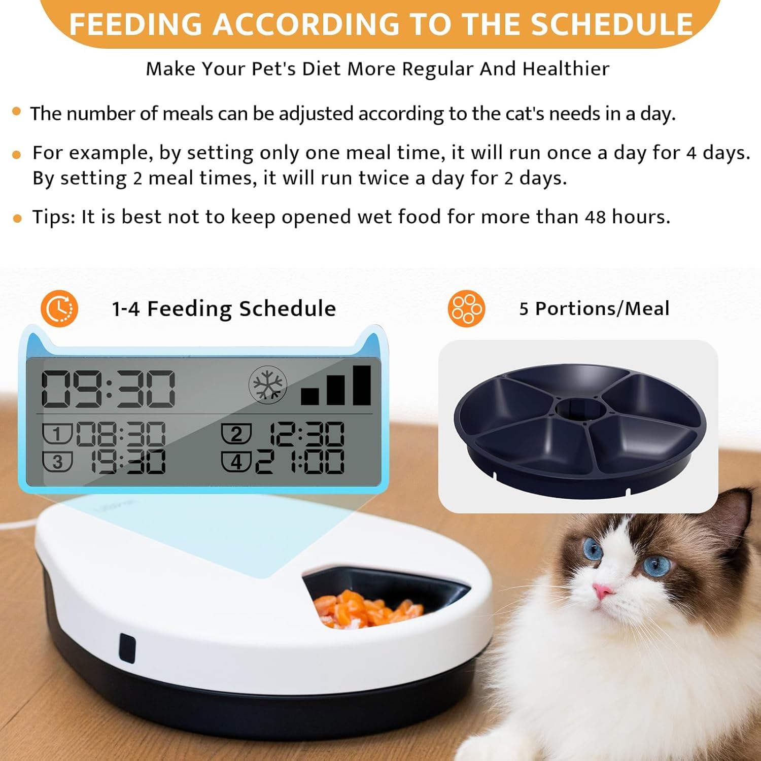 SAROSORA UBPET feeder digital timer display demonstrates precise meal timing