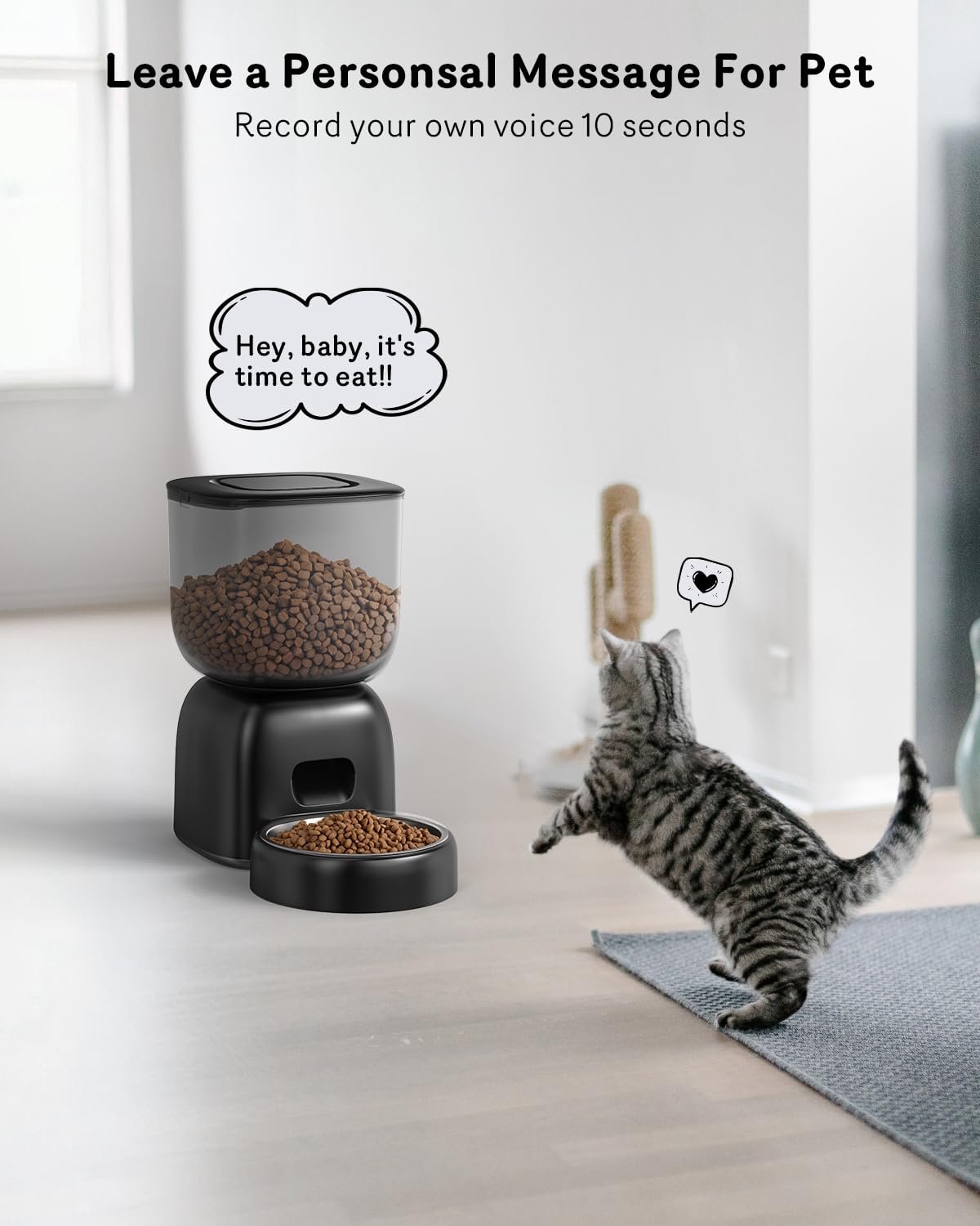 Sarpaws Automatic Feeder voice recorder-equipped for personalized dinner calls.