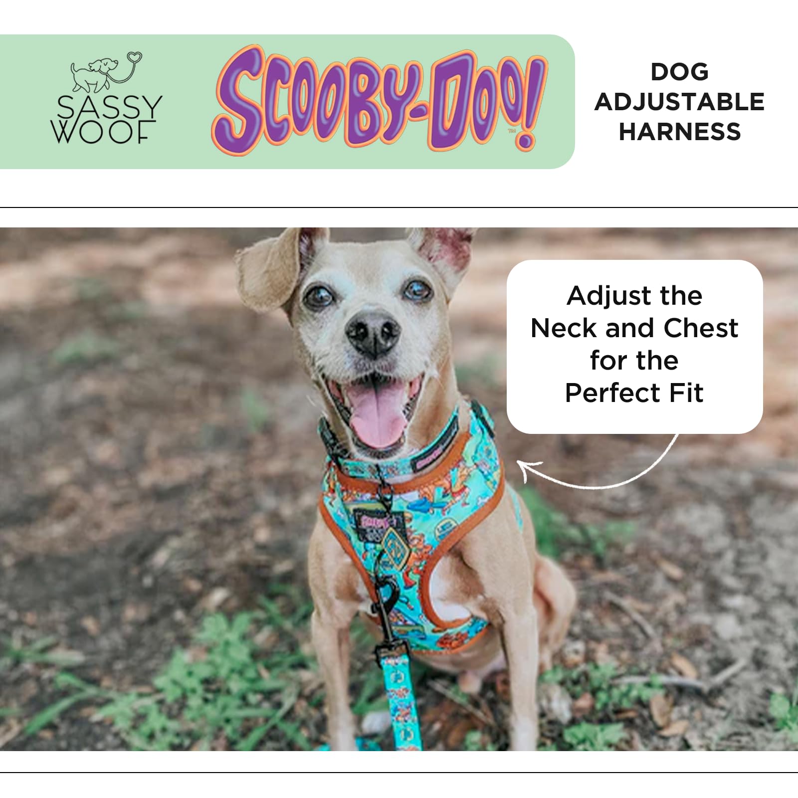 Sassy Woof Scooby-Doo harness front D-ring supports no-pull training.