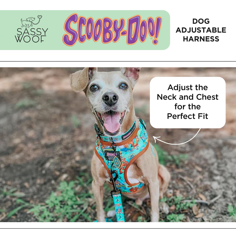 Sassy Woof Scooby-Doo harness front D-ring supports no-pull training.