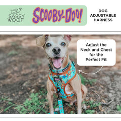 Sassy Woof Scooby-Doo harness front D-ring supports no-pull training.