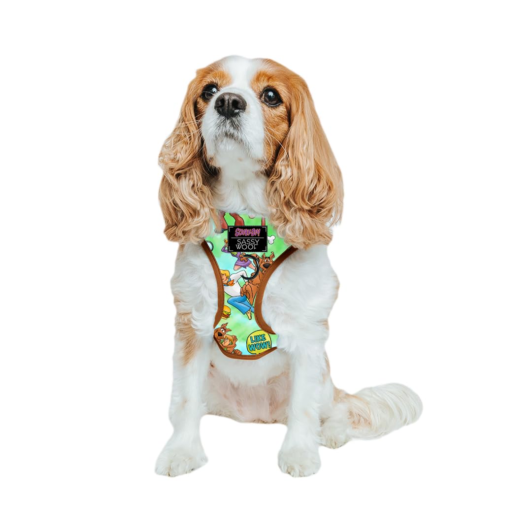 Sassy Woof Scooby-Doo harness front view for comfortable daily walks.