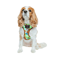 Sassy Woof Scooby-Doo harness front view for comfortable daily walks.