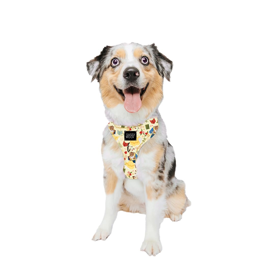 Sassy Woof Belle harness back D-ring for secure leash attachment during daily walks.