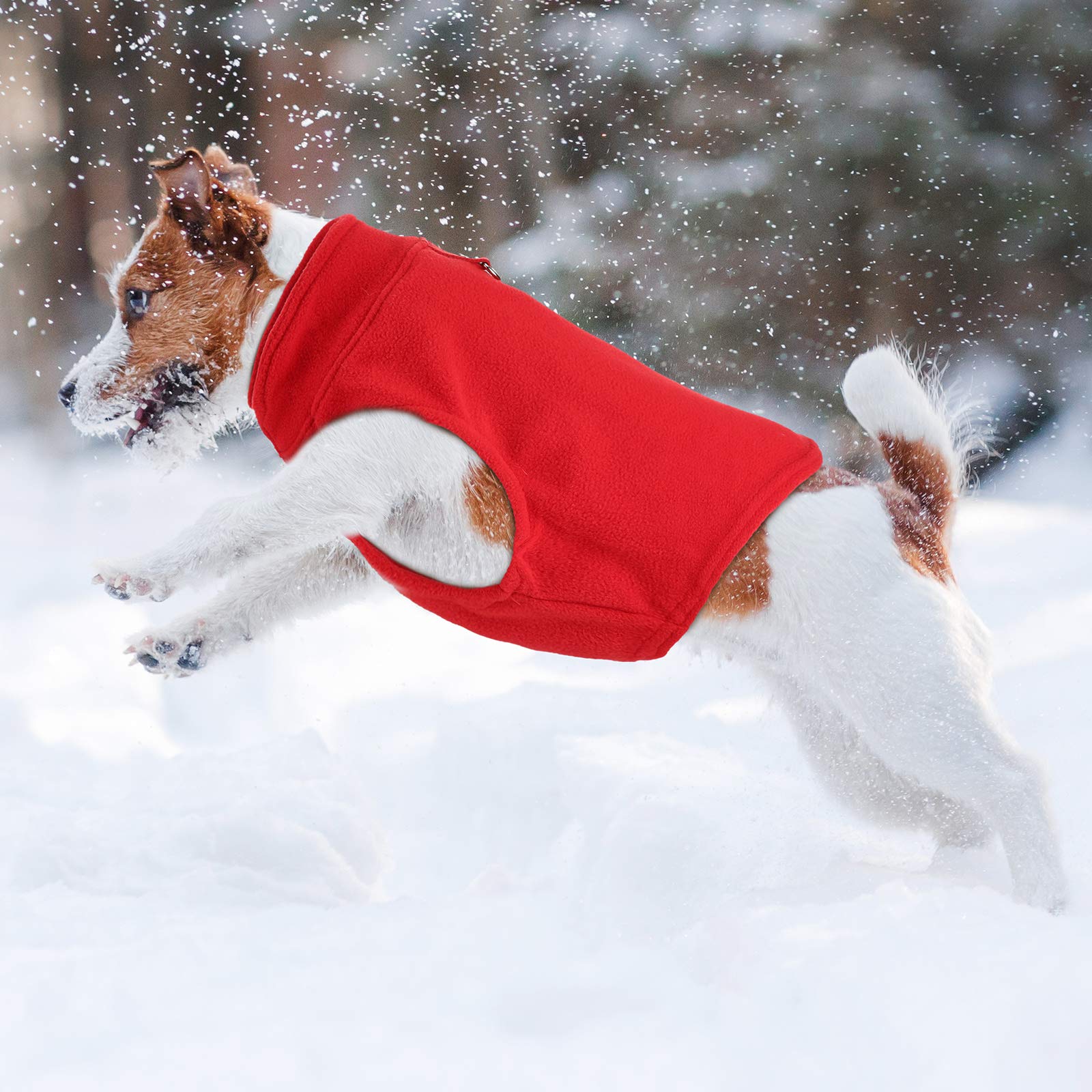 SATINIOR colorful dog sweater collection adds party ready outfits.