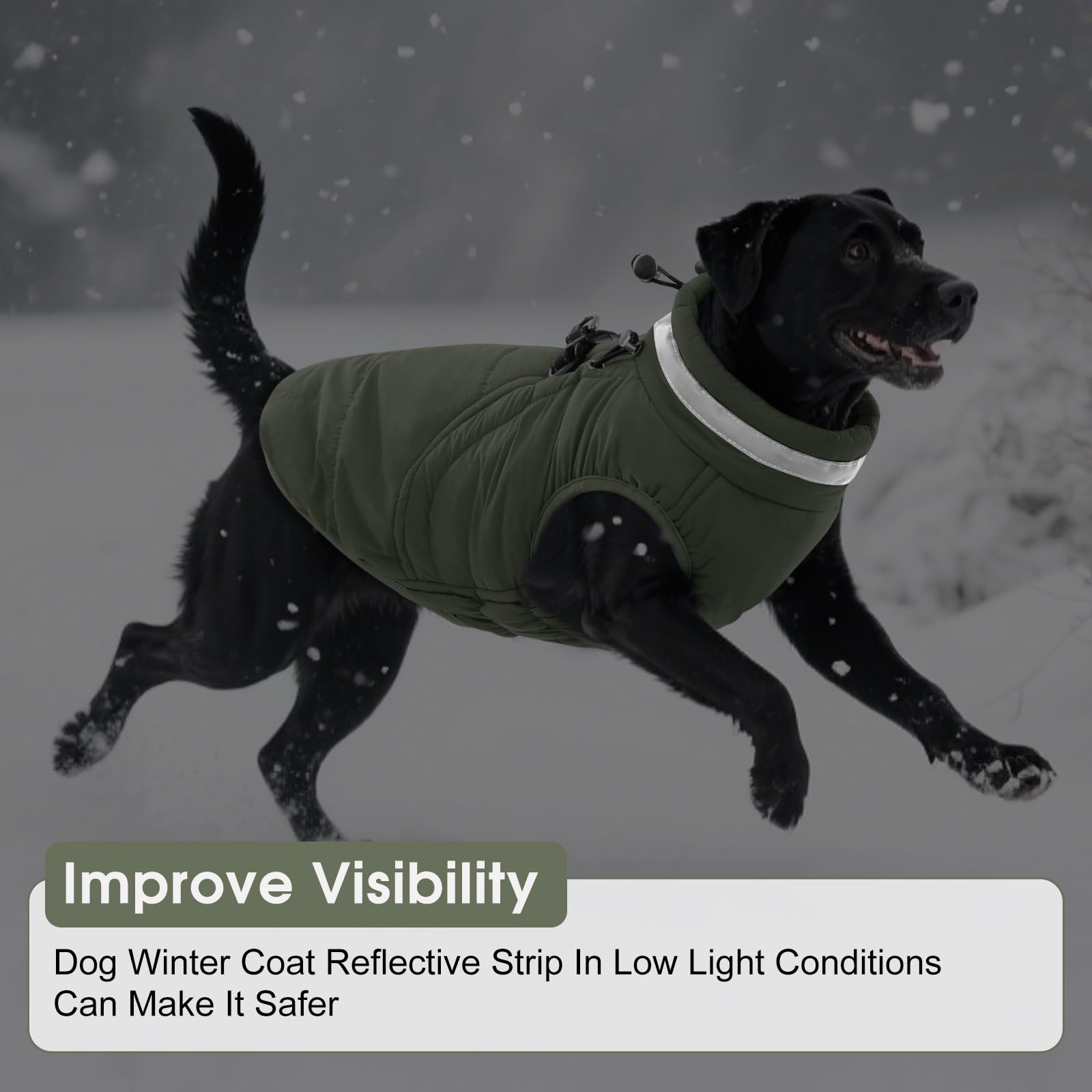 SAWMONG dog coat with reflective strip improves visibility in low light.