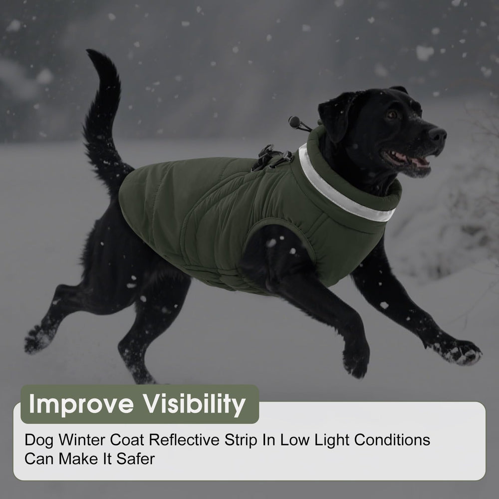 SAWMONG dog coat with reflective strip improves visibility in low light.