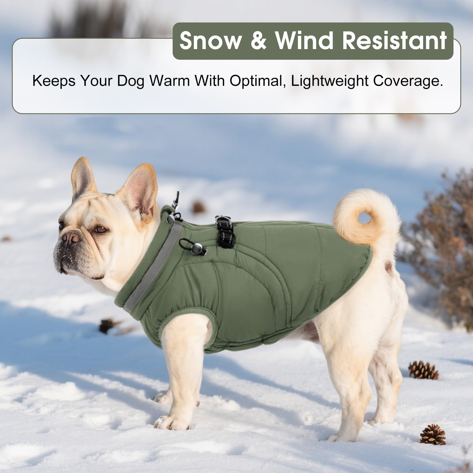 SAWMONG dog coat available in 7 sizes for a secure fit.
