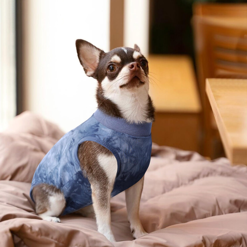 SAWMONG Recovery Suit fits male and female dogs, protecting fur and furniture