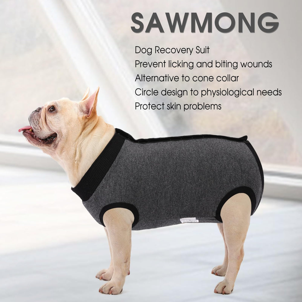 SAWMONG recovery suit dogs grey back view protects incisions while pet rests and heals