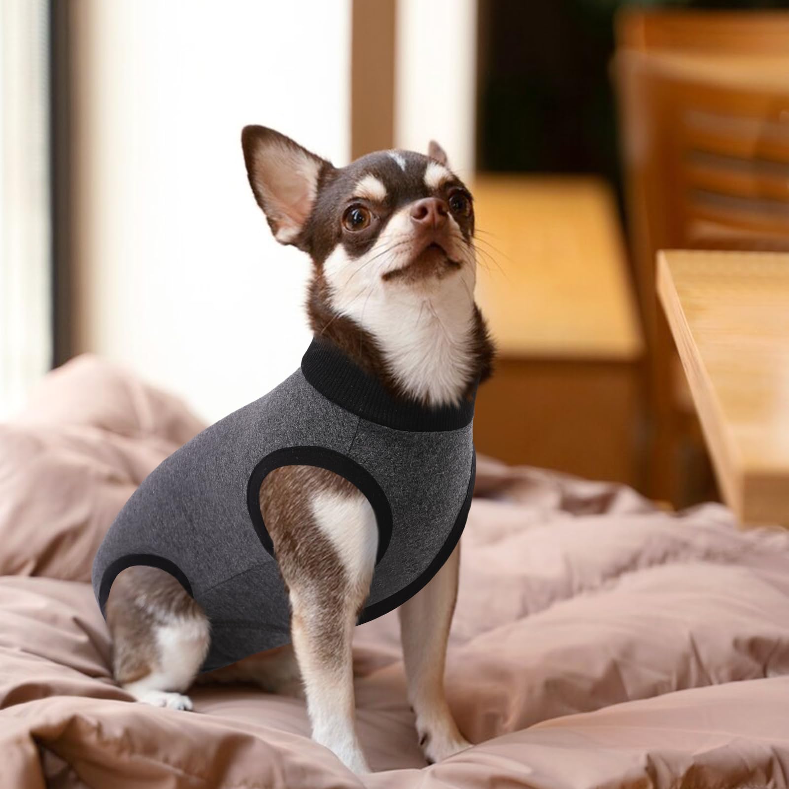 SAWMONG recovery suit dogs grey e-collar alternative enables eating and walking safeguards