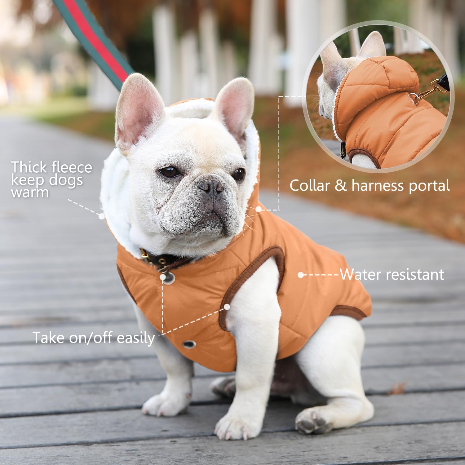 SAWMONG size chart guide helps choose the right coat for most dogs