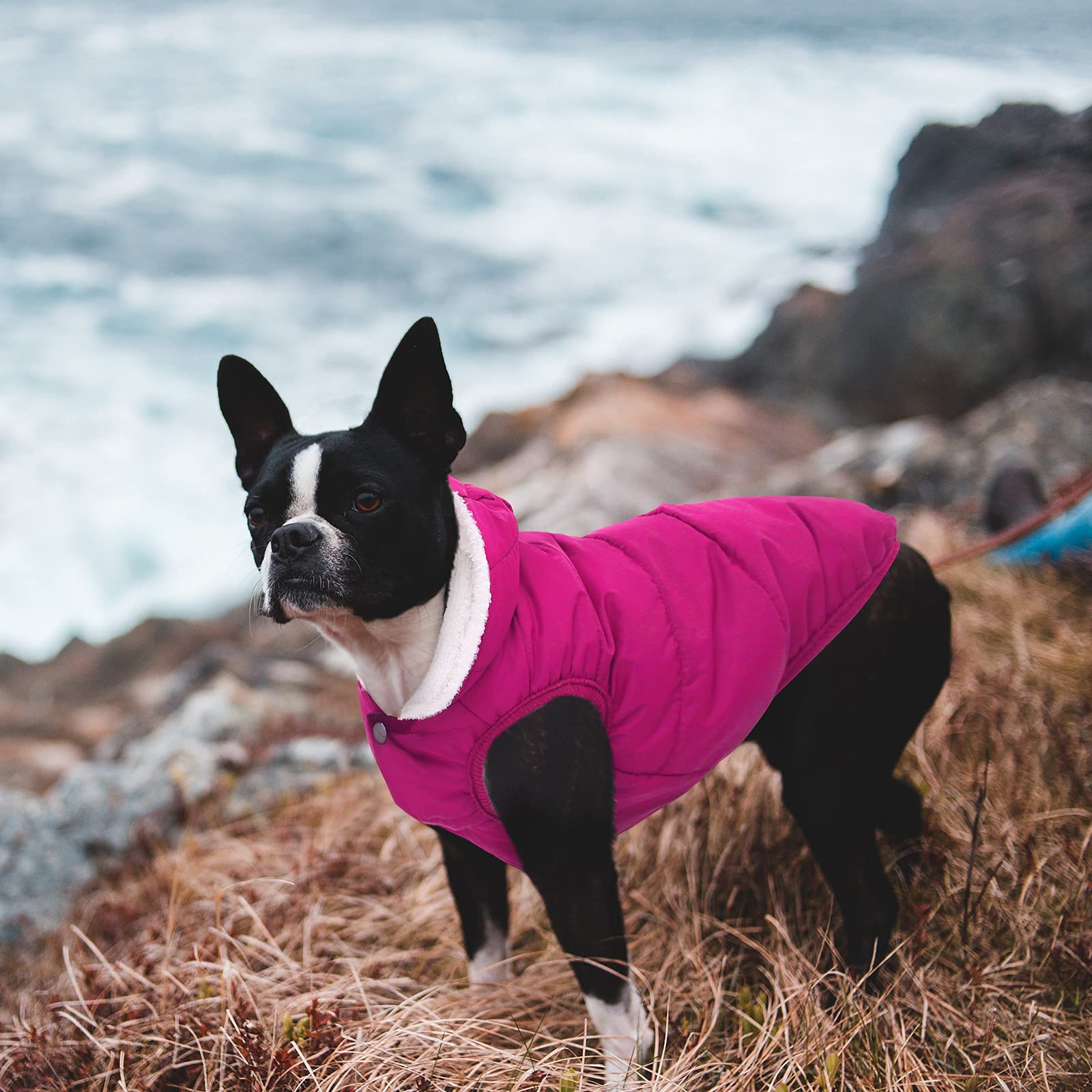 SAWMONG soft fleece lining inside dog jacket for warm comfort.