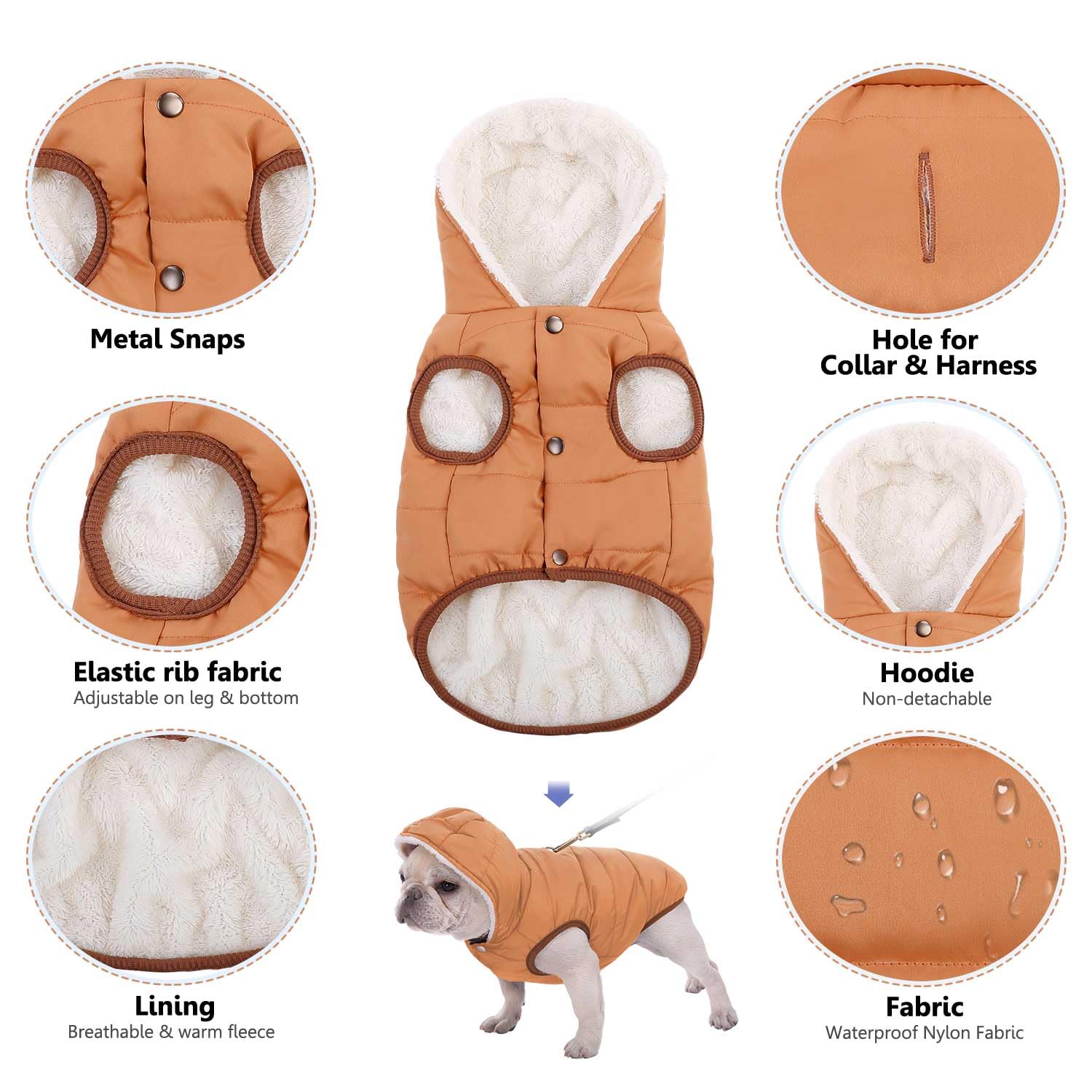 SAWMONG water-repellent coating keeps dog dry during rain