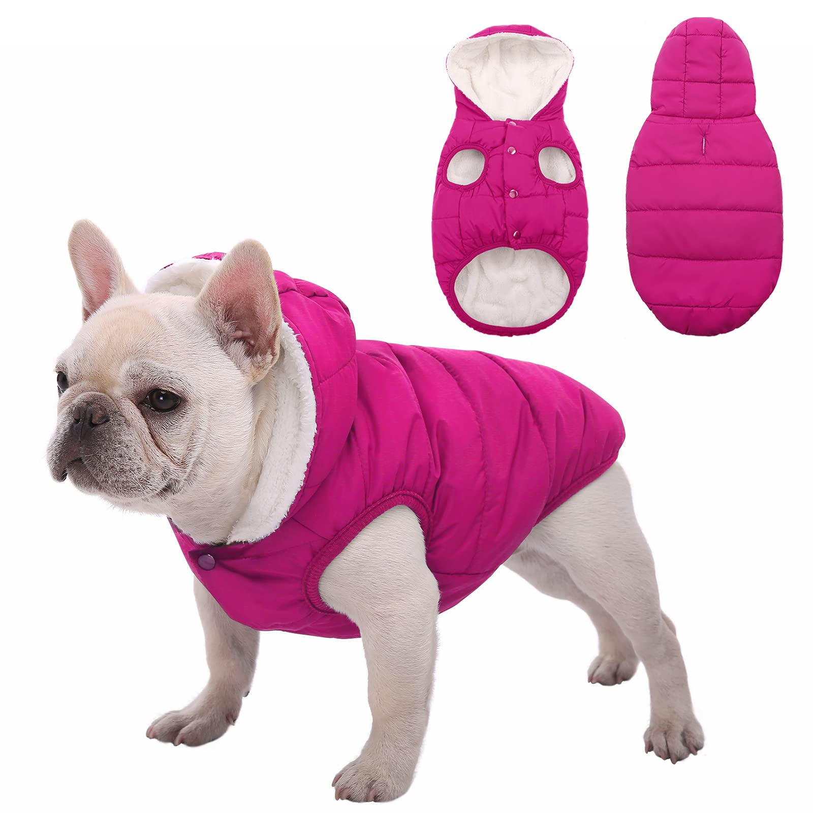 SAWMONG windproof dog coat on pink dog for outdoor warmth during walks
