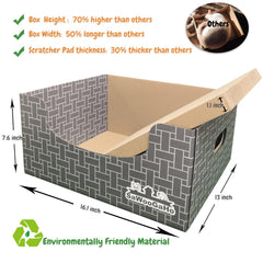 SAWOOGAHO cat playing in box demonstrates engaging indoor cat play