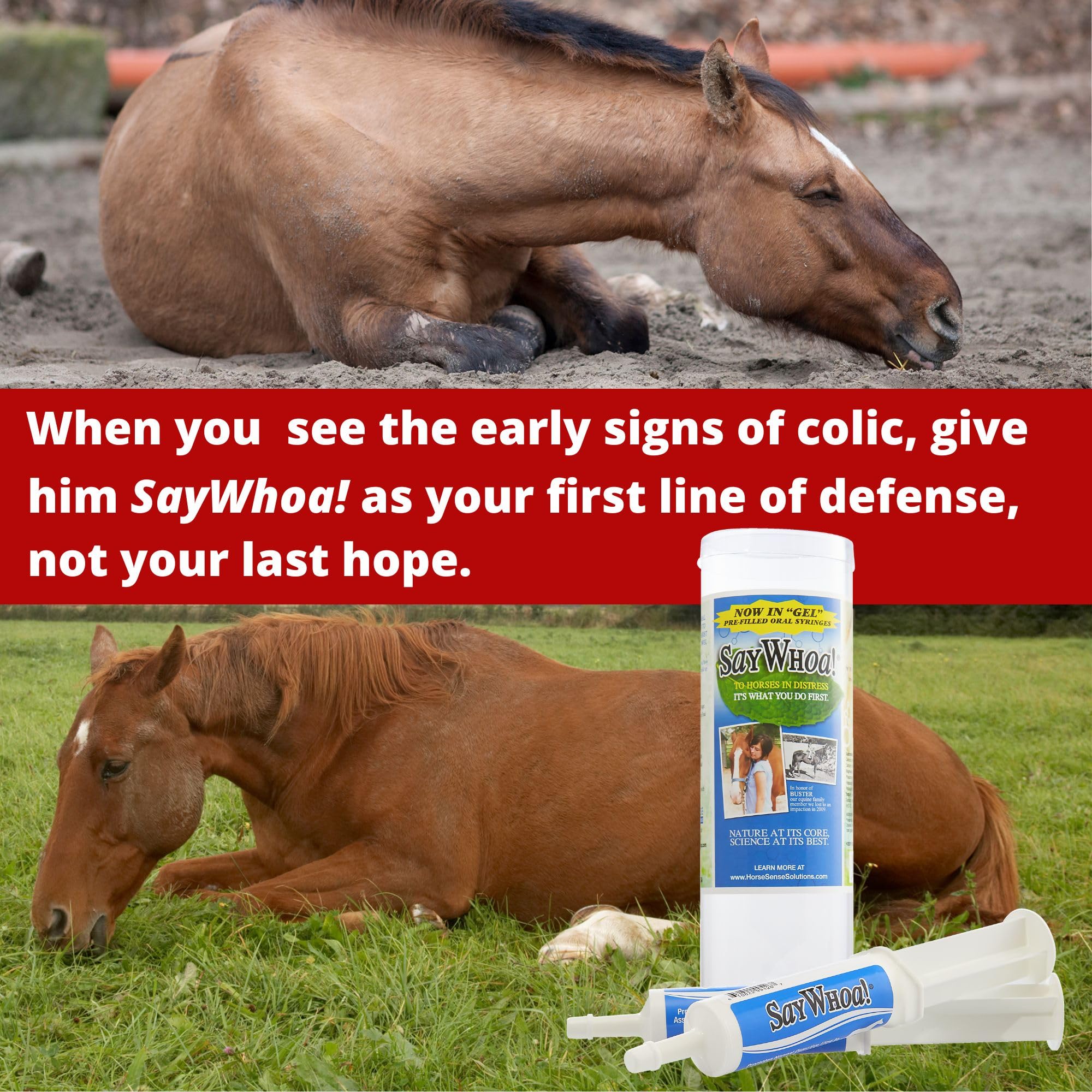 Say Whoa Gel syringe-application demonstrates simple dosing during routine care.