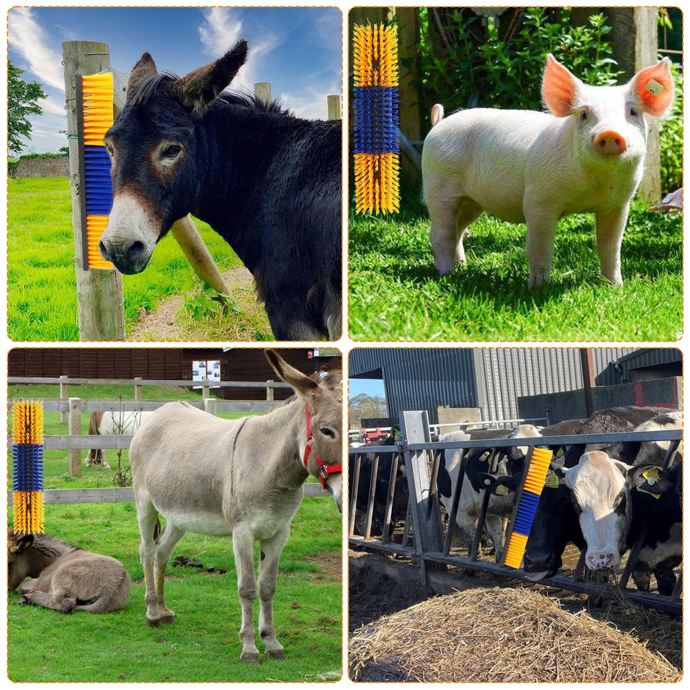 Sayutie scratch brush on cow, gentle grooming and itching relief.