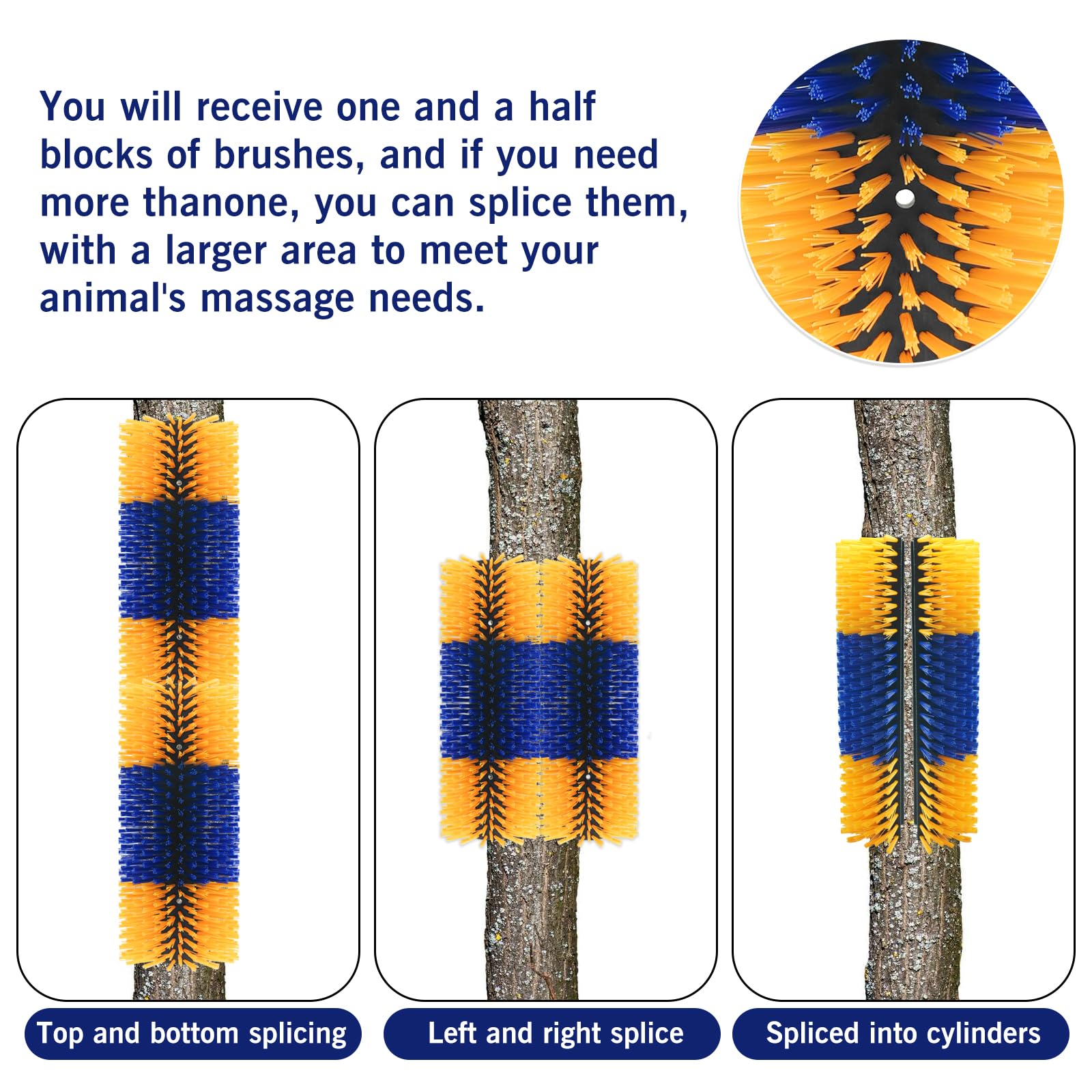 Sayutie brush used on cattle and sheep for hair management.