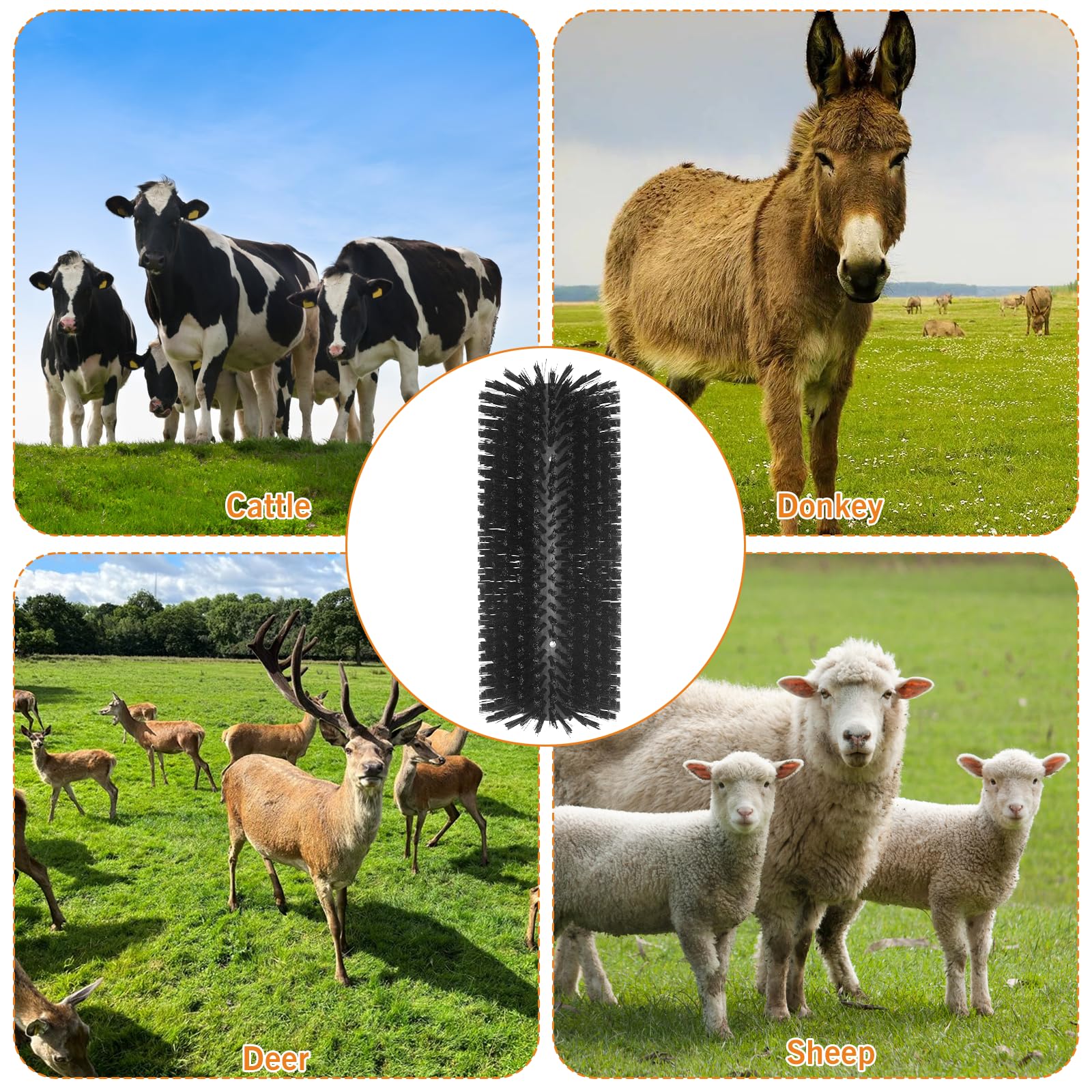 Sayutie Livestock Scratching Brush in barn shows versatile grooming for cattle, sheep, and horses.