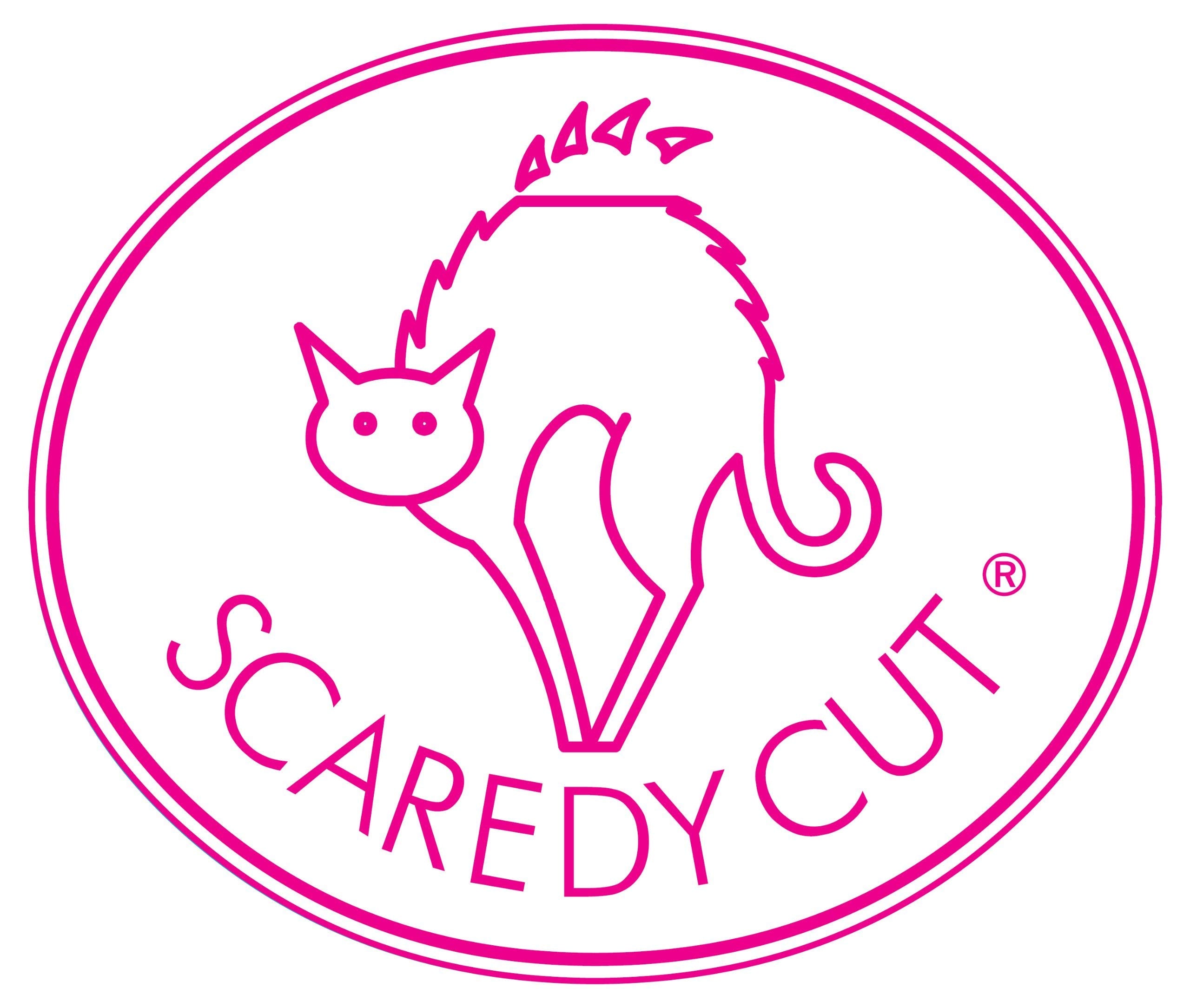 Scaredy Cut dog grooming session illustrating calm, low-noise trimming.