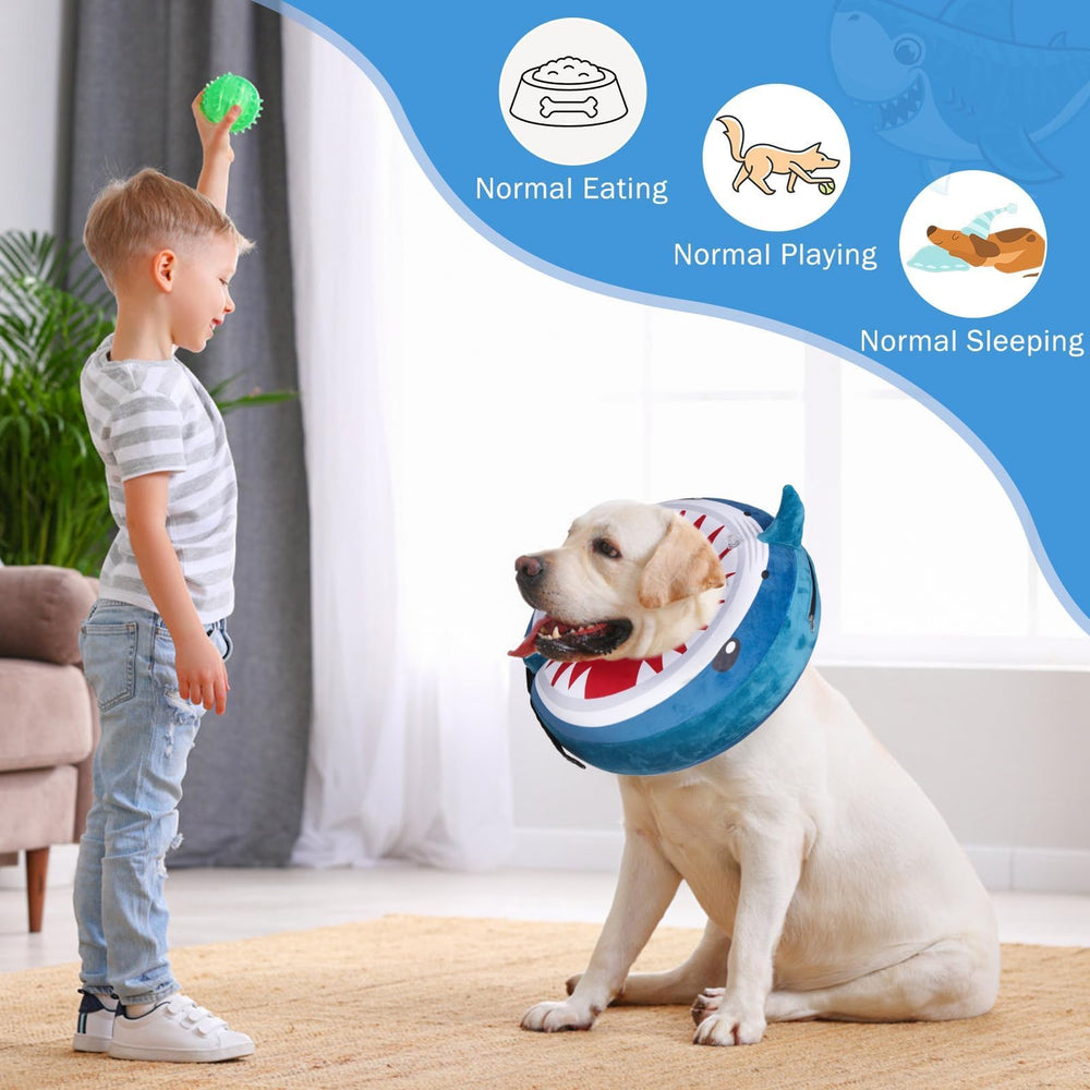 SCENEREAL shark-print close-up: cute recovery collar protects surgical areas.