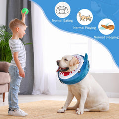 SCENEREAL shark-print close-up: cute recovery collar protects surgical areas.