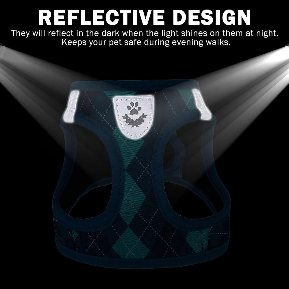 SCENEREAL four-season breathable mesh keeps dogs comfortable year-round