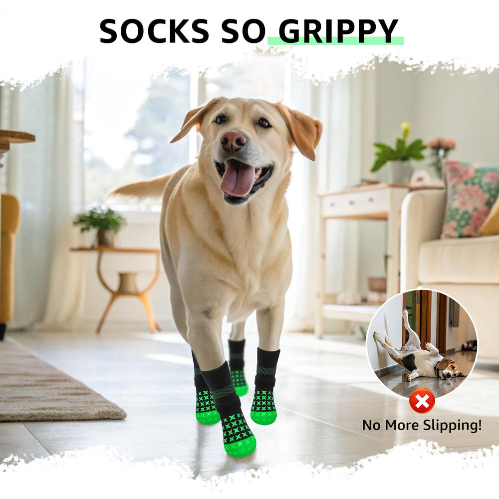 SCENEREAL breathable green socks protect paws on hot pavement during sunny days.