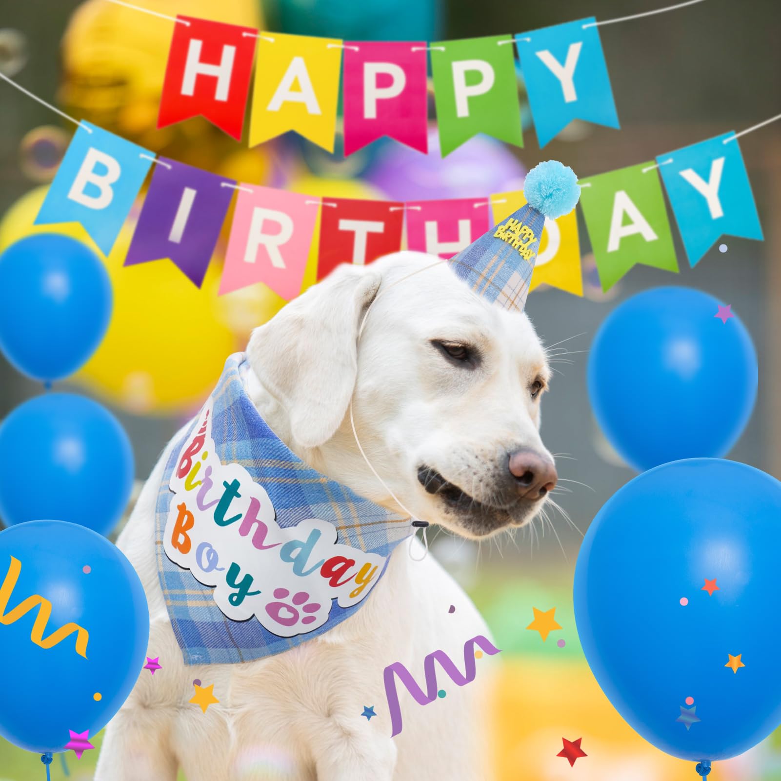SCENEREAL birthday party set creates a centerpiece for photos