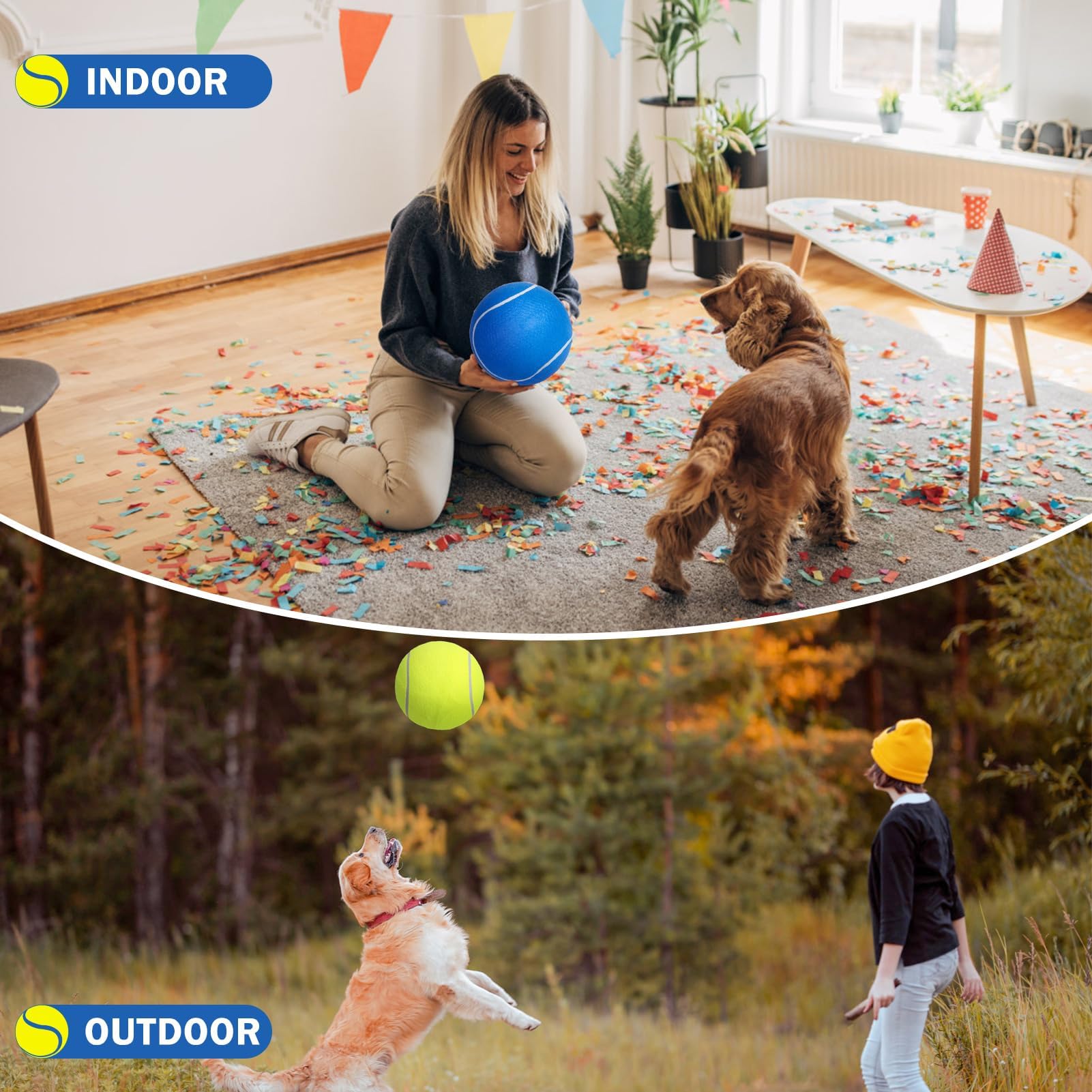 SCENEREAL bonding play with dog ball enhances pet-owner moments