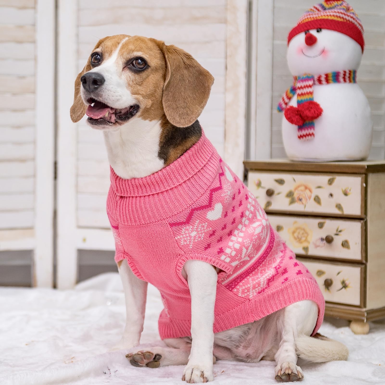SCENEREAL Christmas ugly dog sweater shows festive argyle pattern.