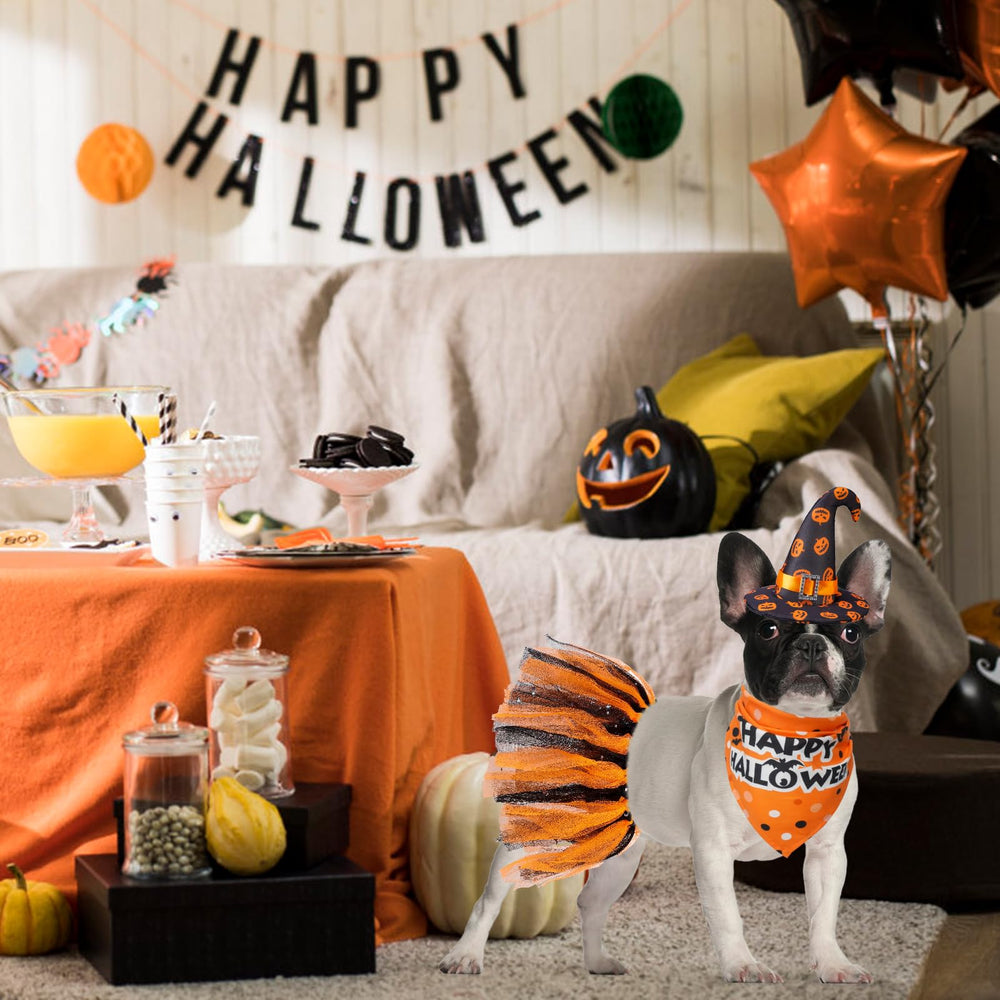 SCENEREAL conjunto de Noche de Brujas para perro, disfraz en casa.