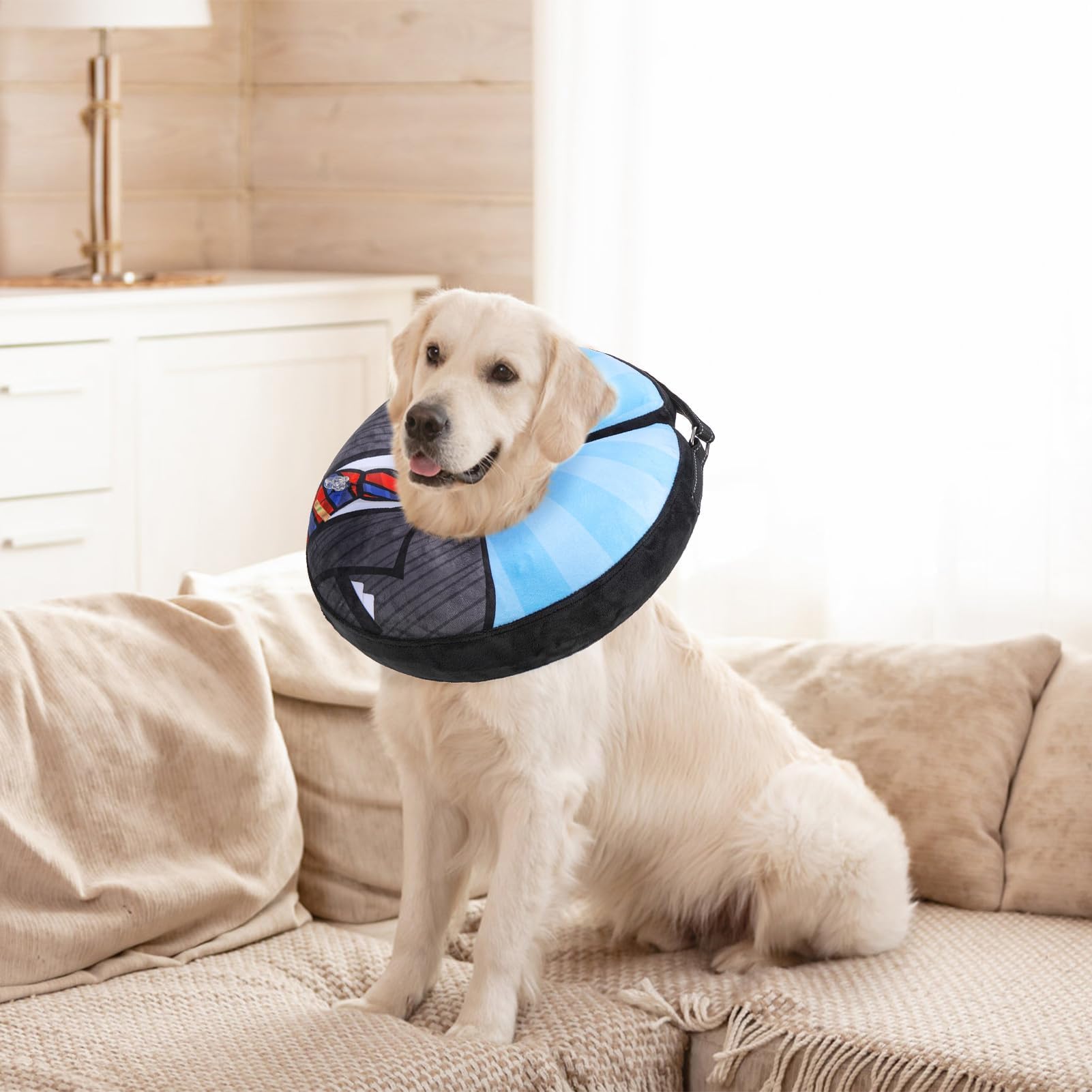 SCENEREAL deflated collar stored compactly for travel.
